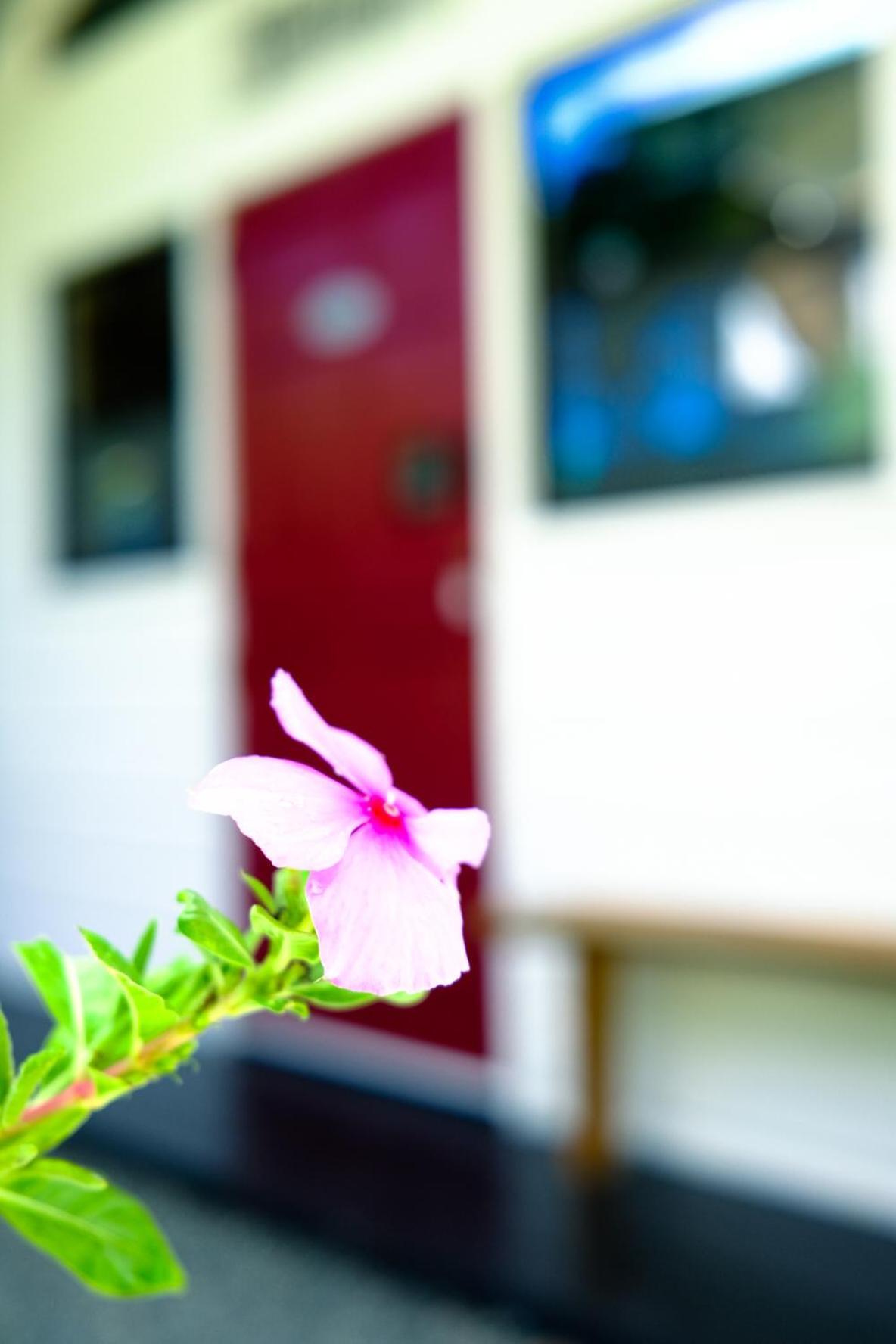 Silk Cotton Cottages Parrot Hall Экстерьер фото